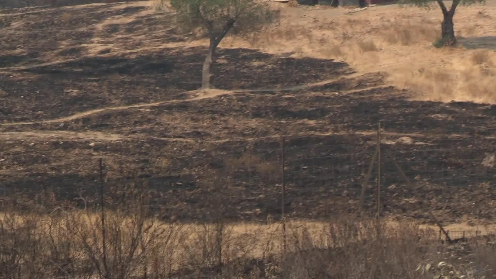 X014-HUELVA INCENDIO NIEBLA CONSEJERO