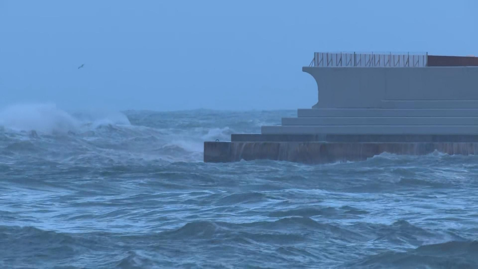 M010 BARCELONA TEMPORAL MAR frame 3460