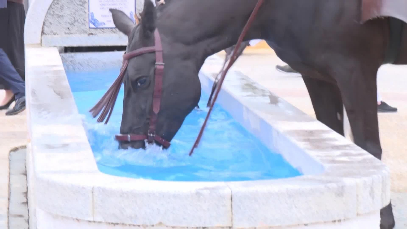 web calor y calidad del aire