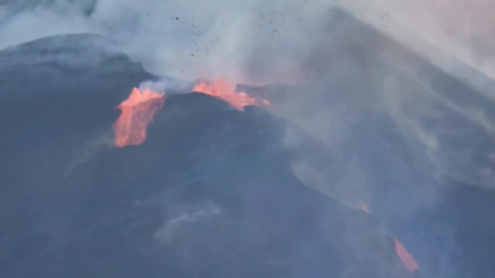 web enjambres y seismos