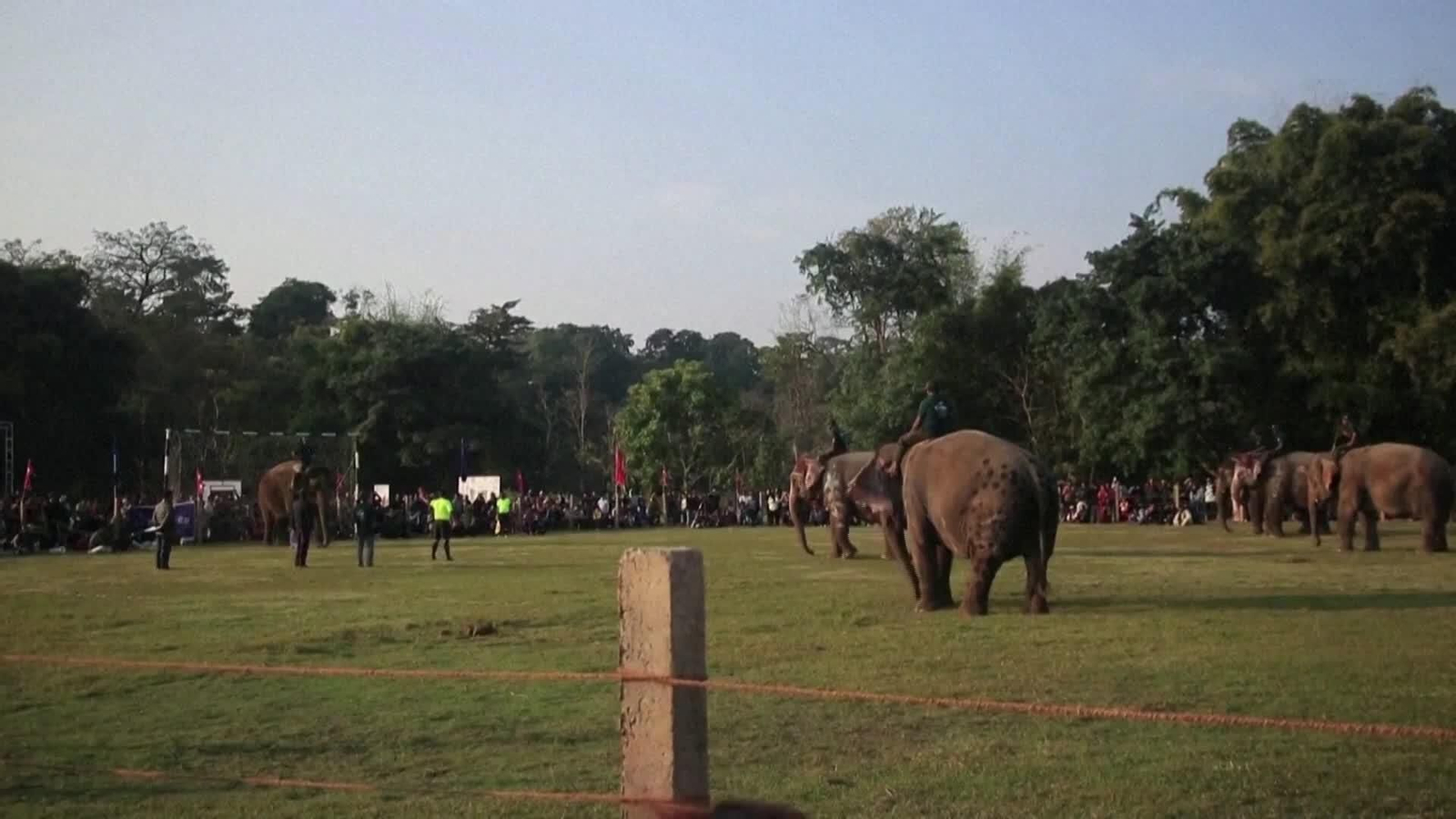 S008-NEPAL PARTIDO FUTBOL ELEFANTES