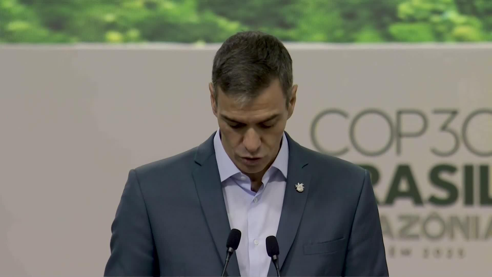 web sanchez manual de resistencia hasta 2027