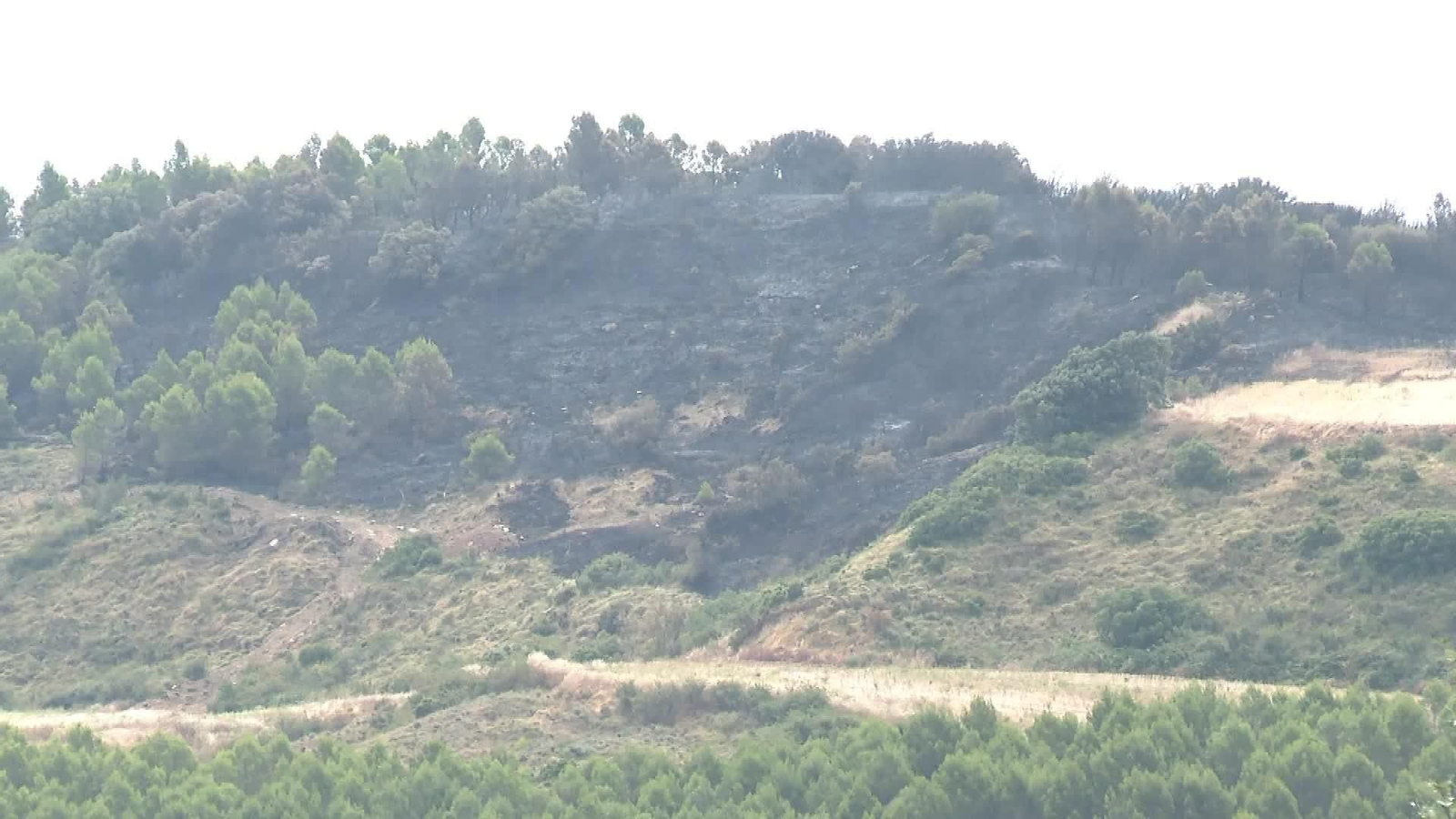 X038-NAVARRA SEGUIMIENTO INCENDIO X038-NAVARRA SEGUIMIENTO INCENDIO