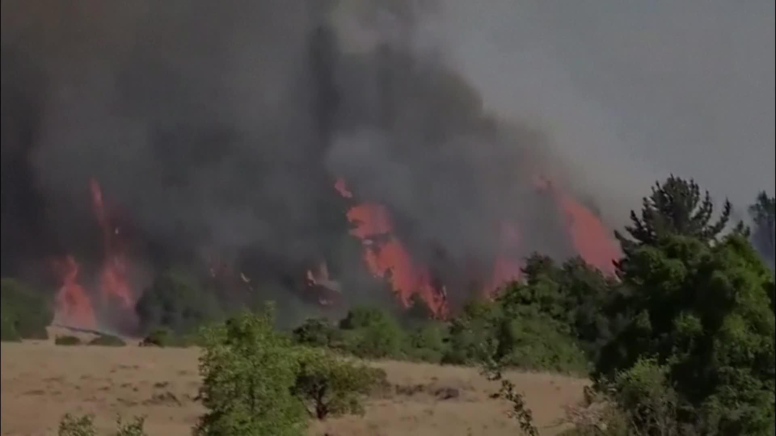D004-CHILE EVACUACION INCENDIOS FORESTALES