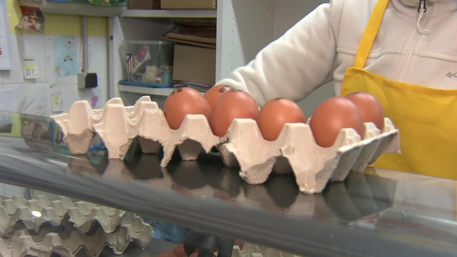 J053-EDI-VARIOS INFORME ALIMENTOS 2025