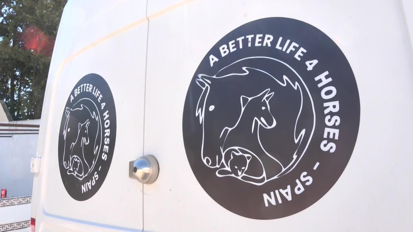 web santuario caballos