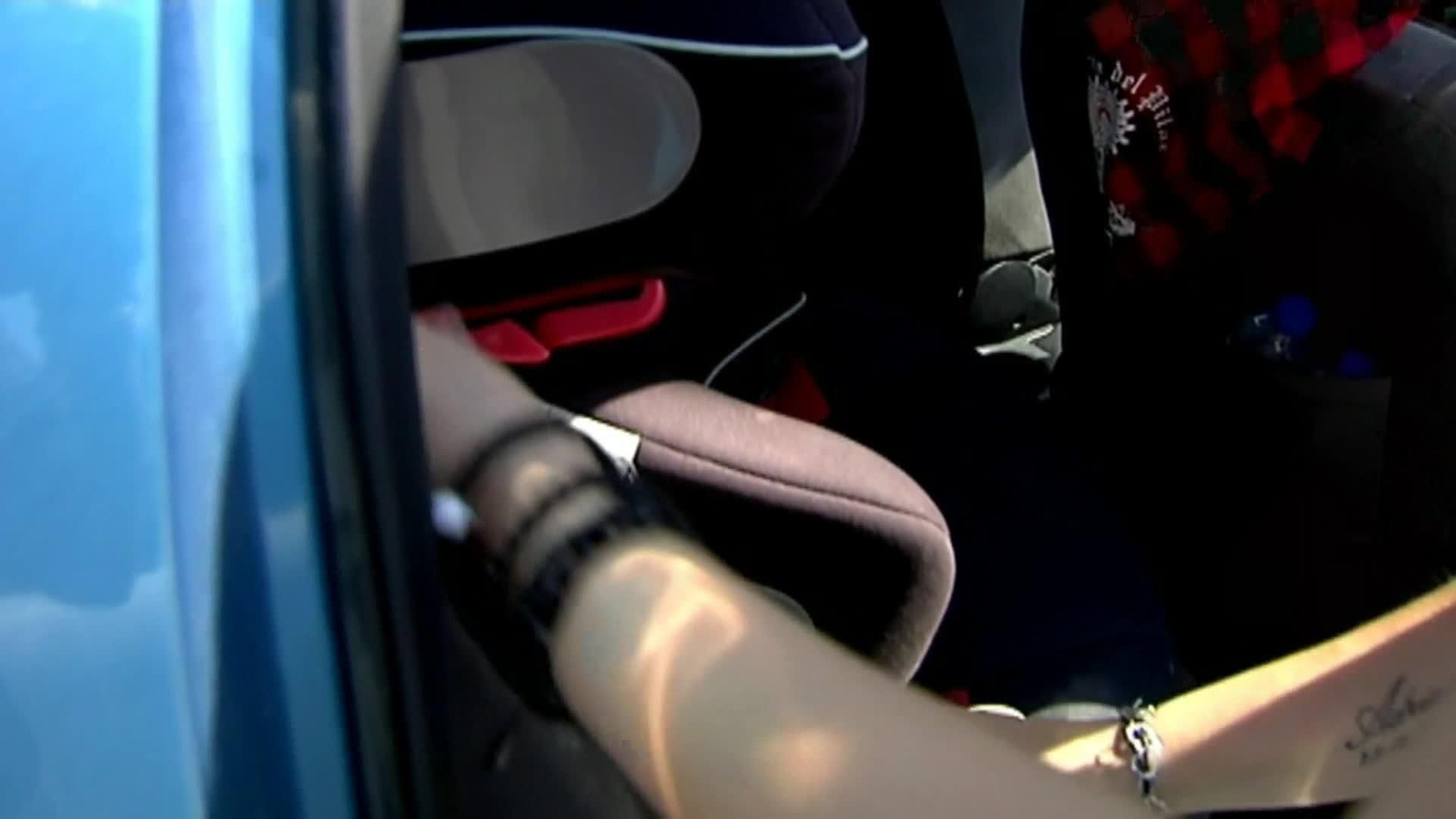 web consejo olvido niños coche
