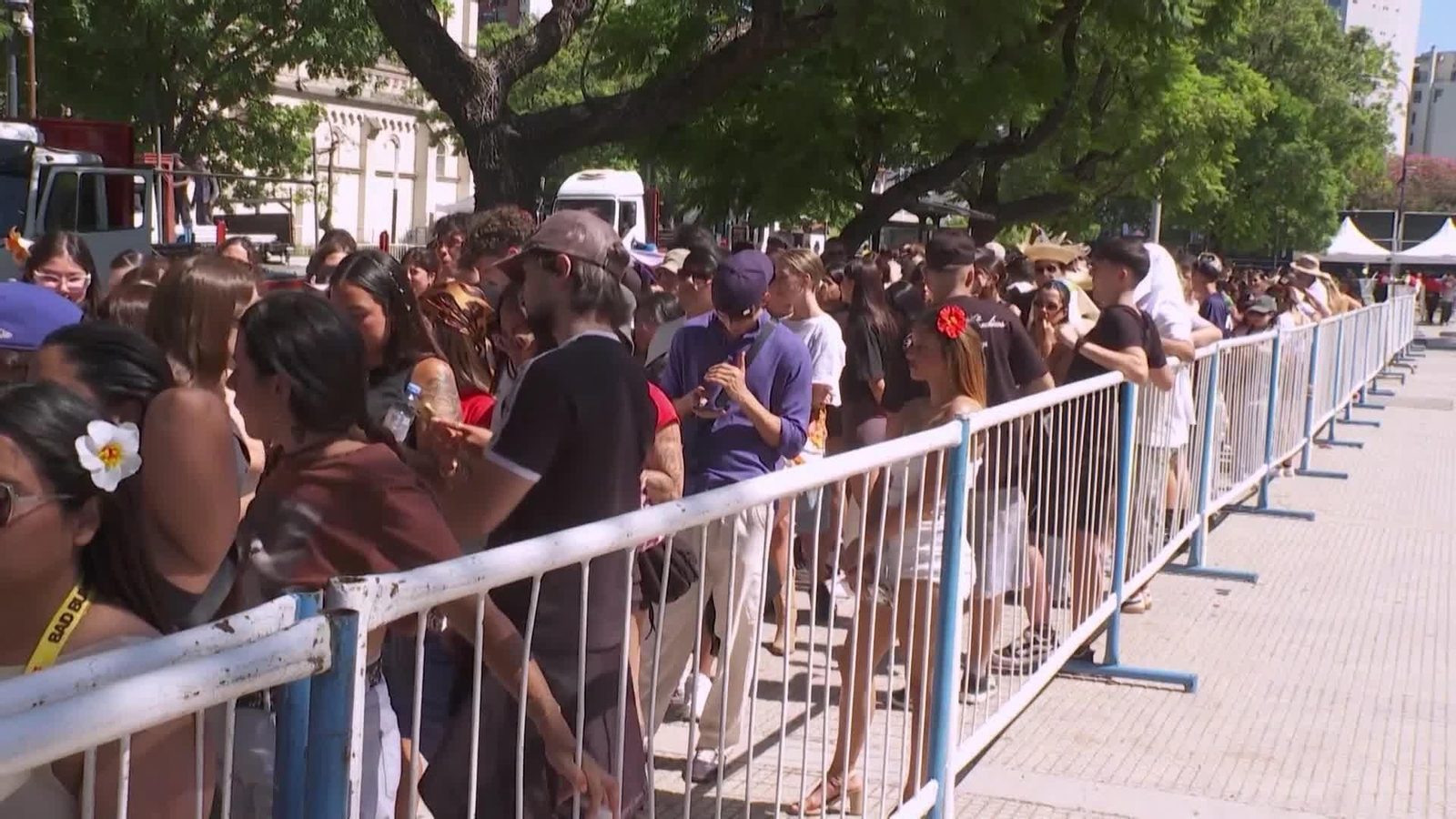 va fans argentina concierto bad bunny
