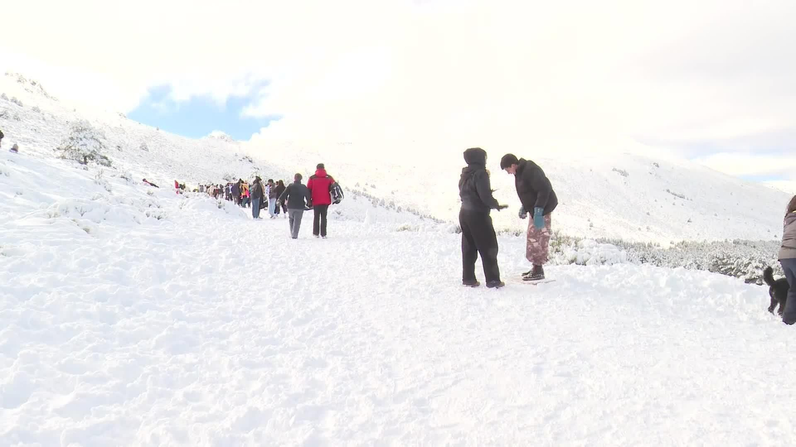 D030-MADRID NIEVE EN NAVACERRADA