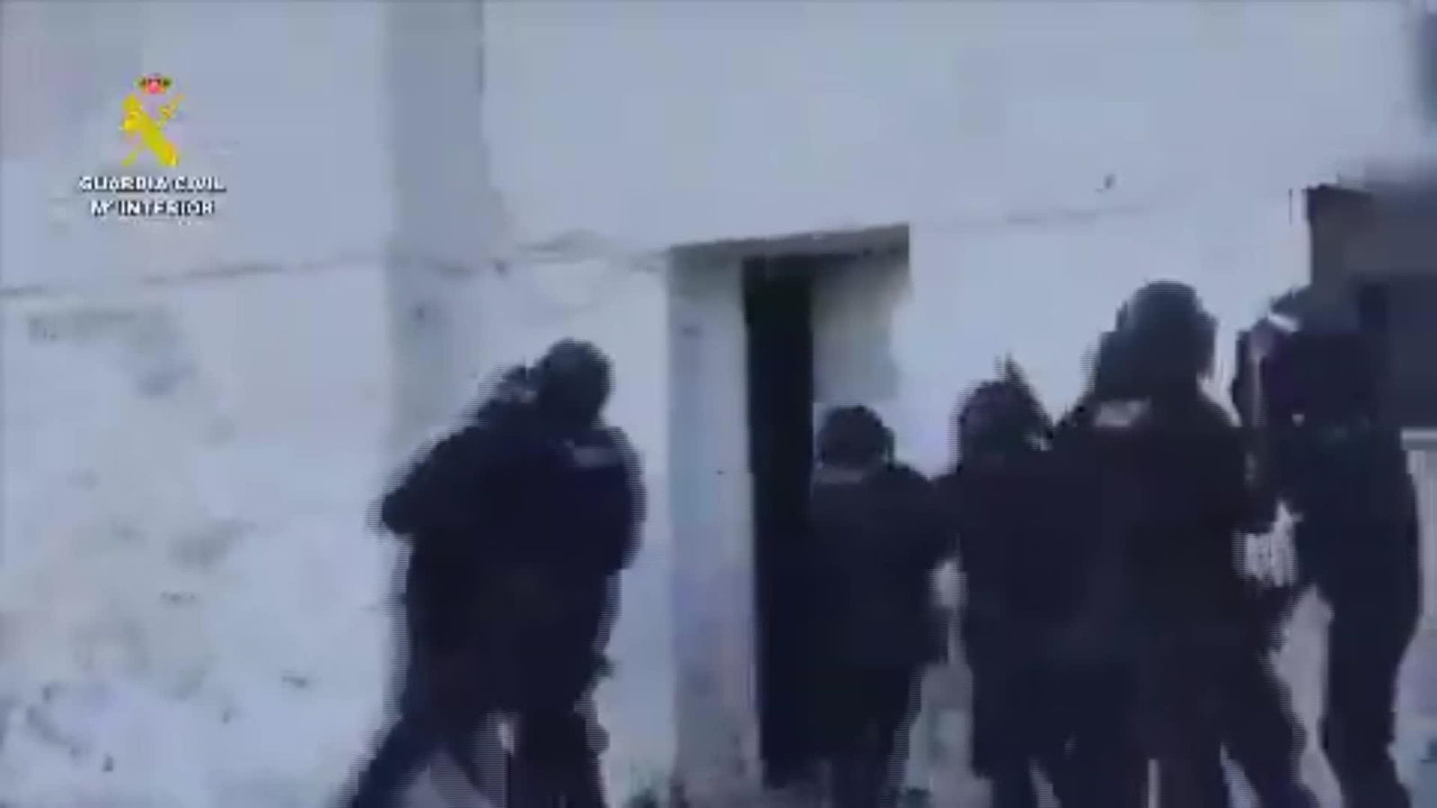 M057-CACERES DESMANTELAN PLANTACIONES MARIHUANA