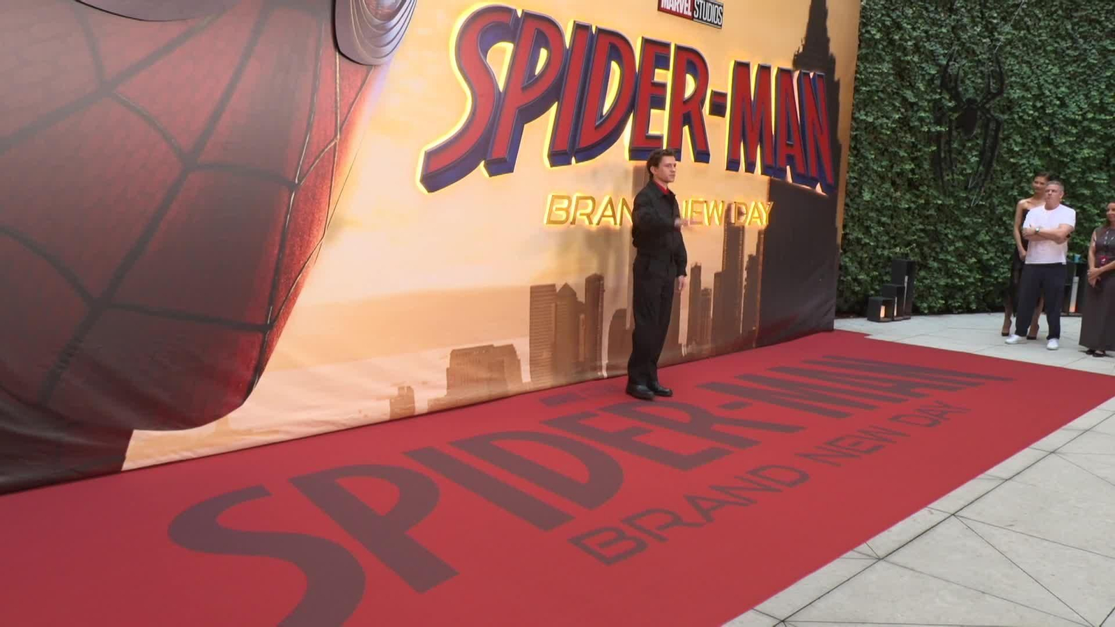 va tom holland