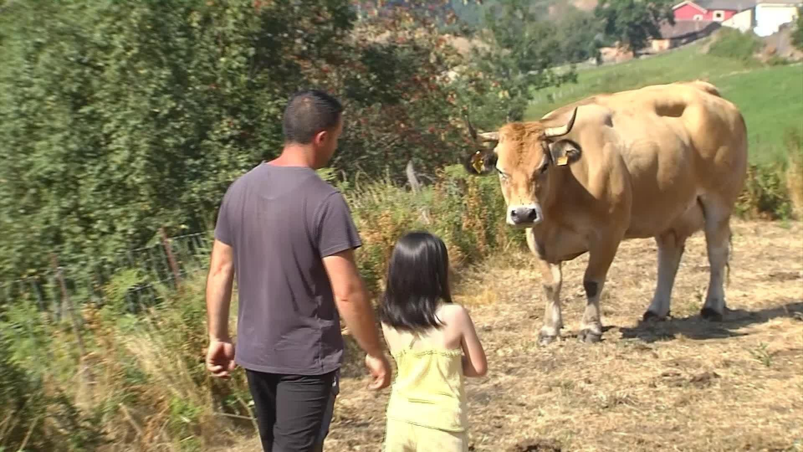 M018-VARIOS REACCIONES AFECTADOS INCENDIOS AYUDAS GOBIERNO