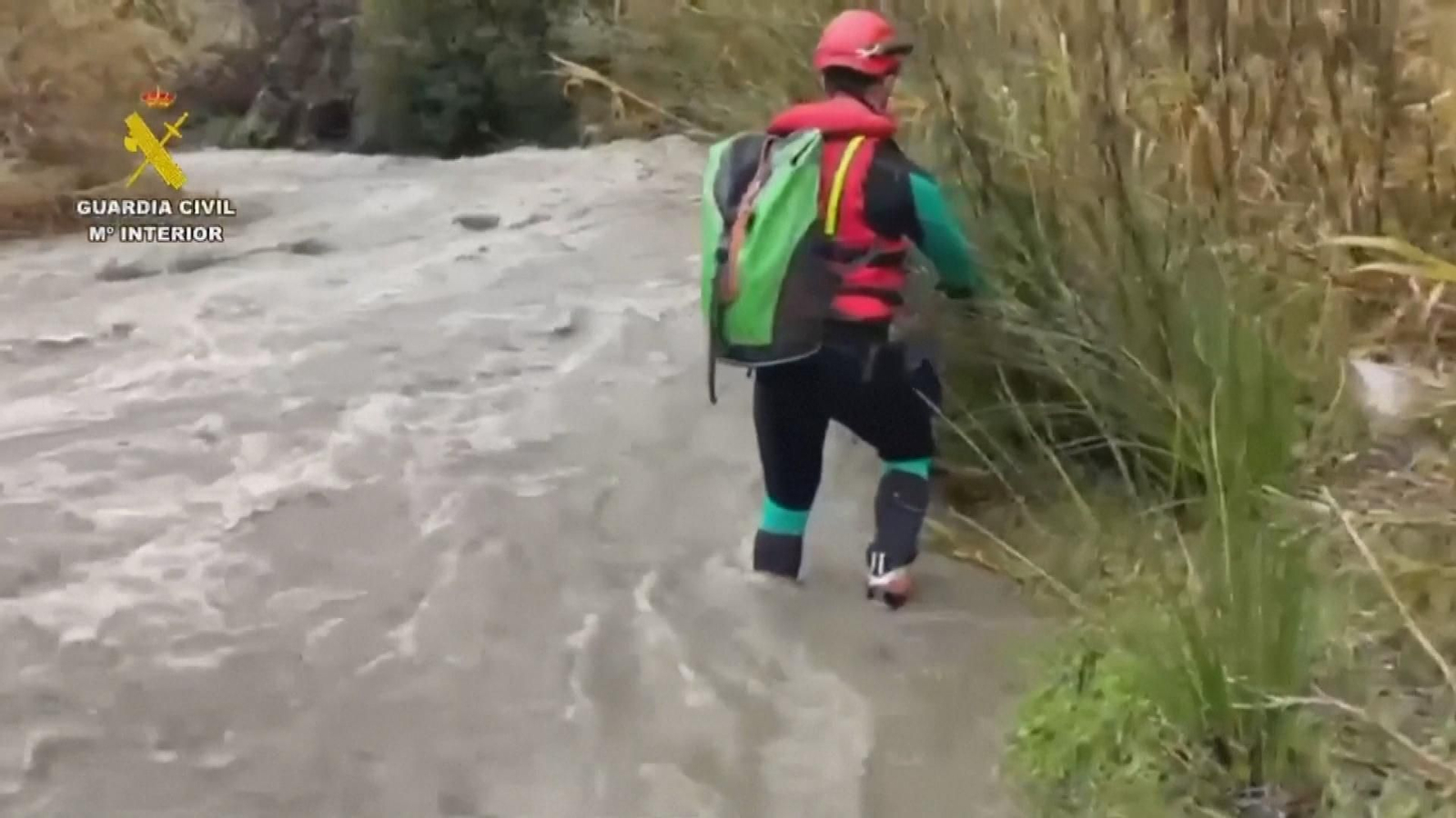 Búsqueda desaparecida