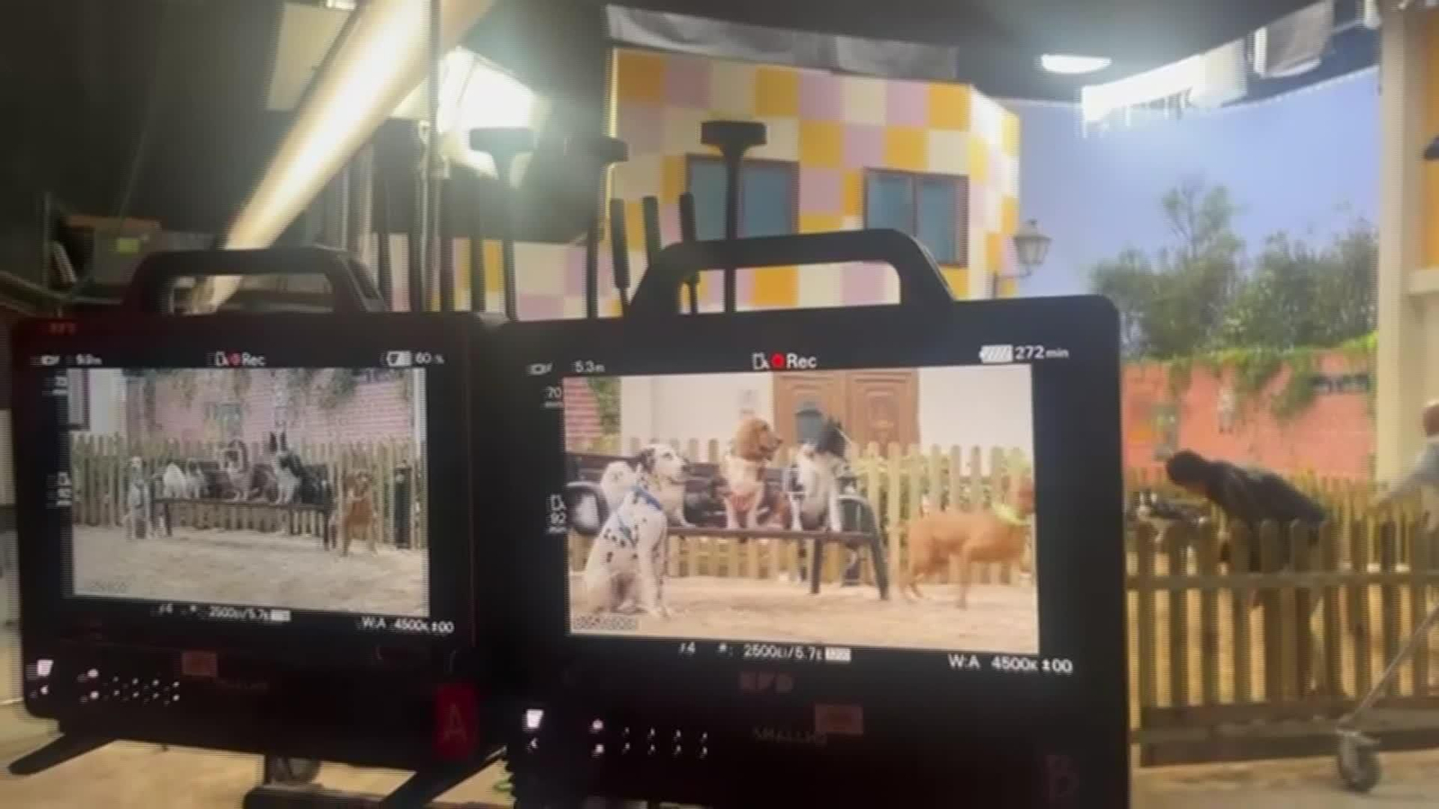 V068-EDI ESTRENO PELICULA VIDA PERRA