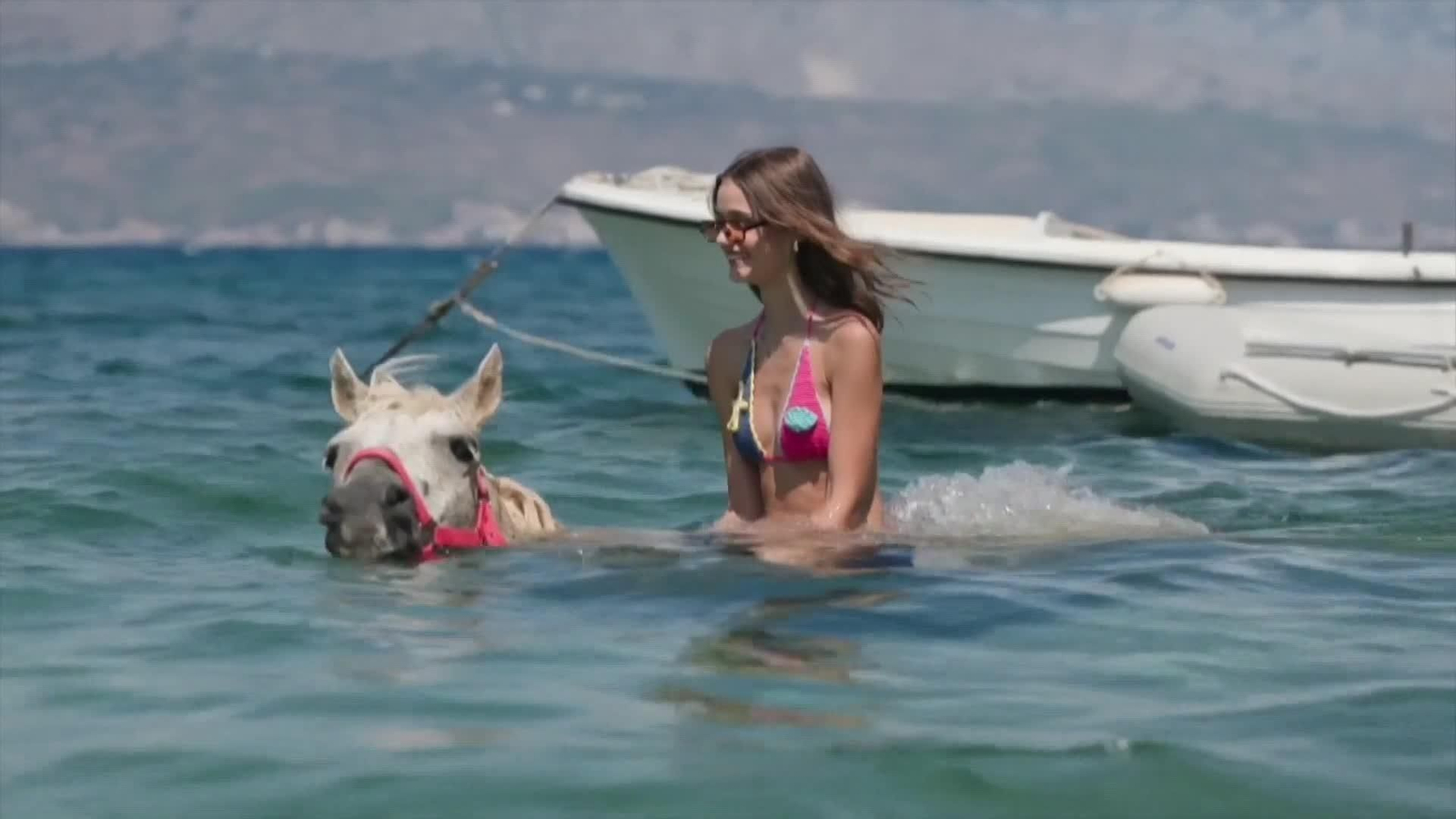 web caballos nadando grecia