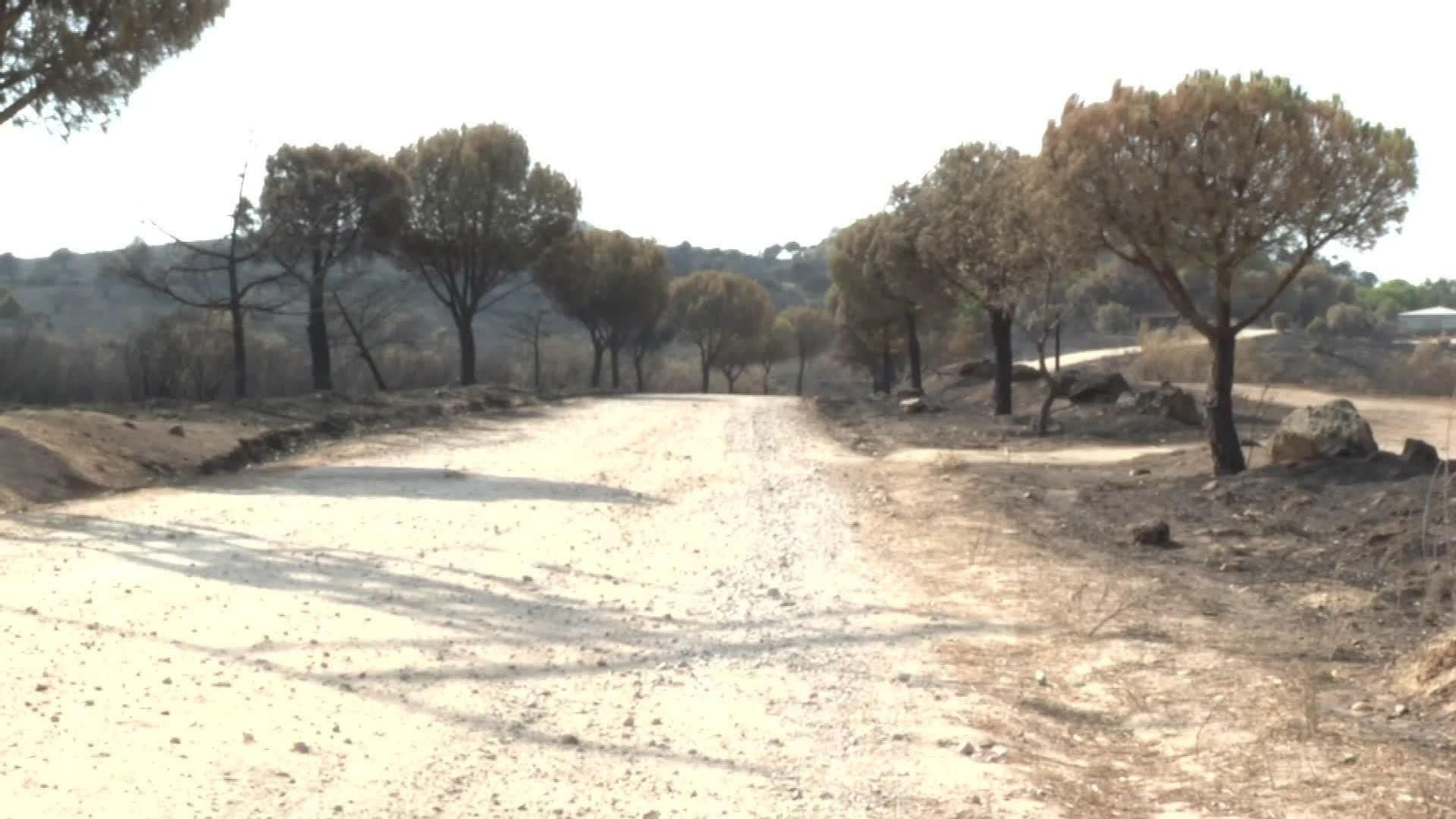 M075-MADRID INCENDIO VILLA DEL PRADO TARDE