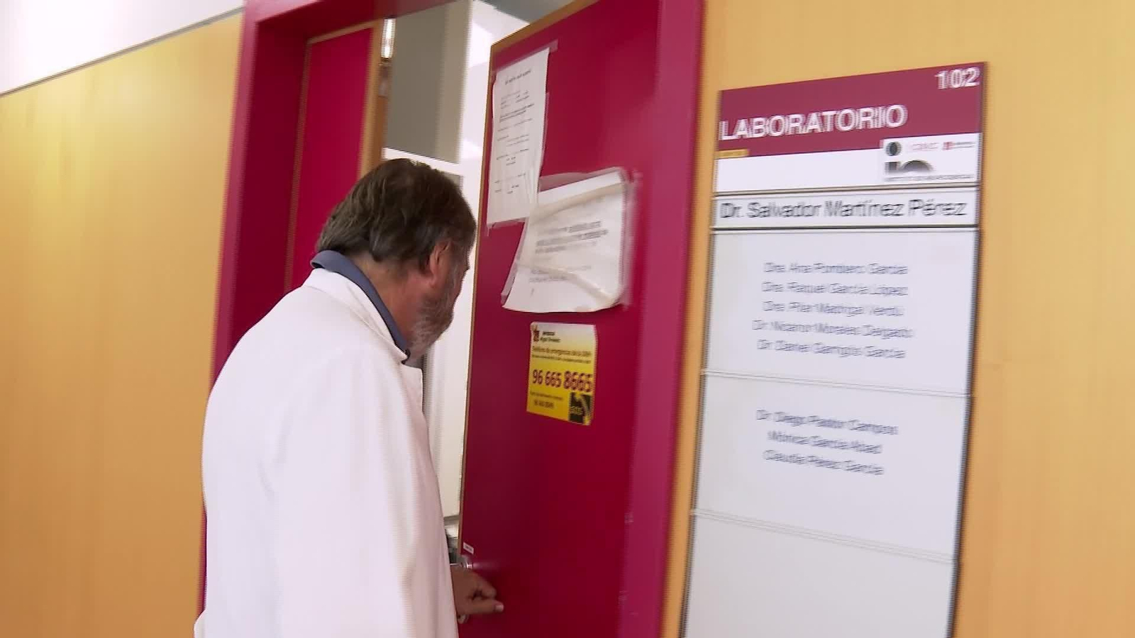 X051-ALICANTE AVANCE DIENTES DE LECHE PARA REGENERAR CEREBRO