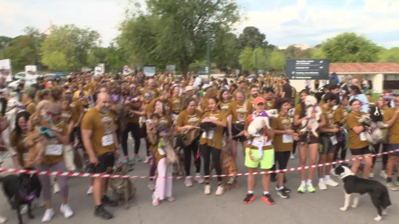 S032-MADRID CELEBRACION PERROTON 2026