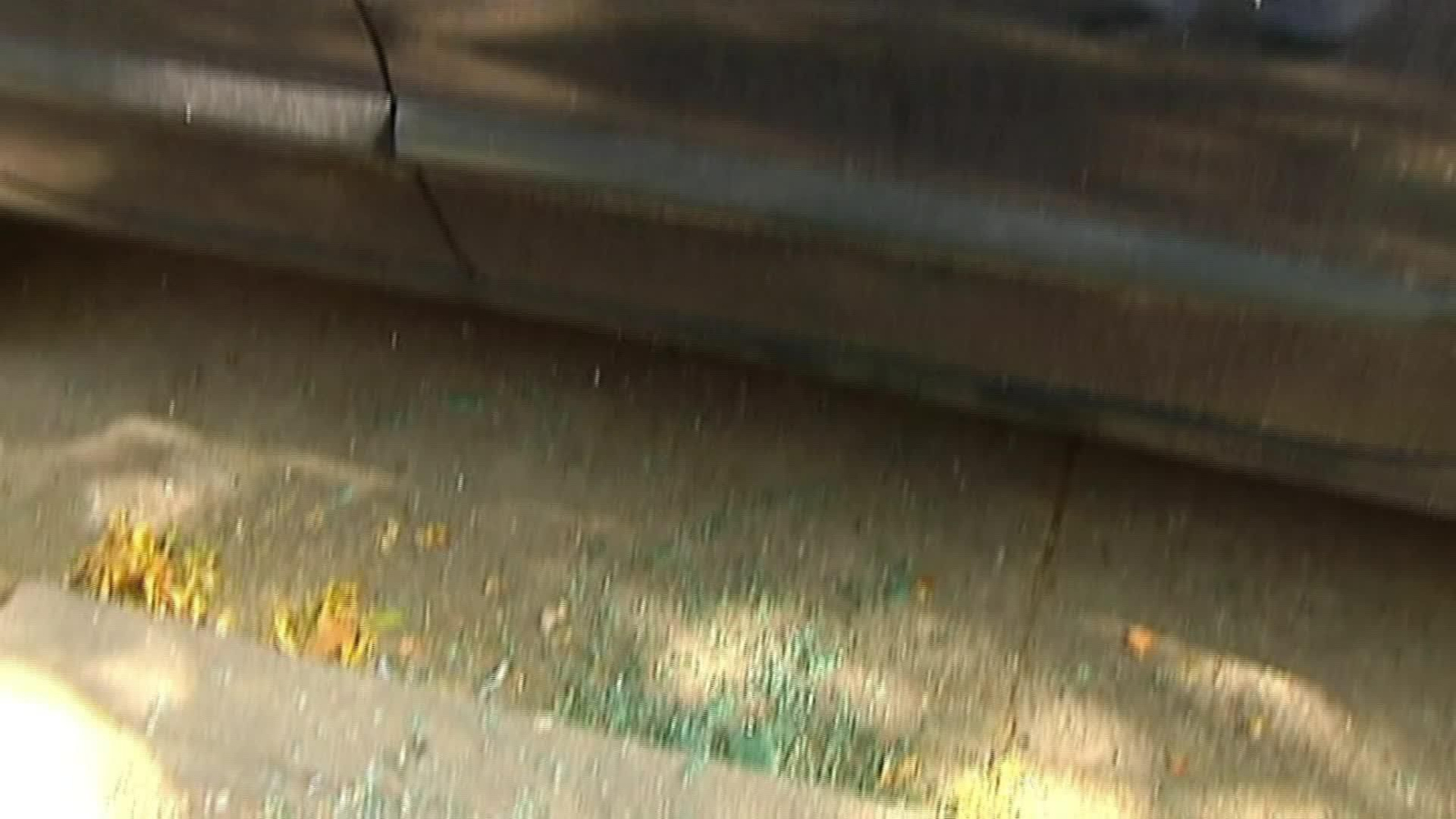 V053-EDI VARIOS ROBOS DE BALIZAS