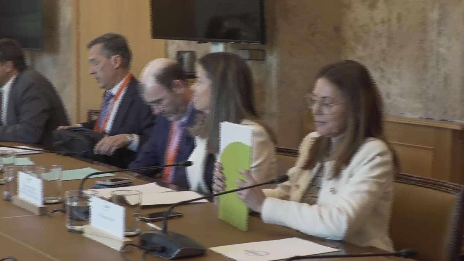 L025-MADRID REUNION AAGESEN SECTOR GASISTA