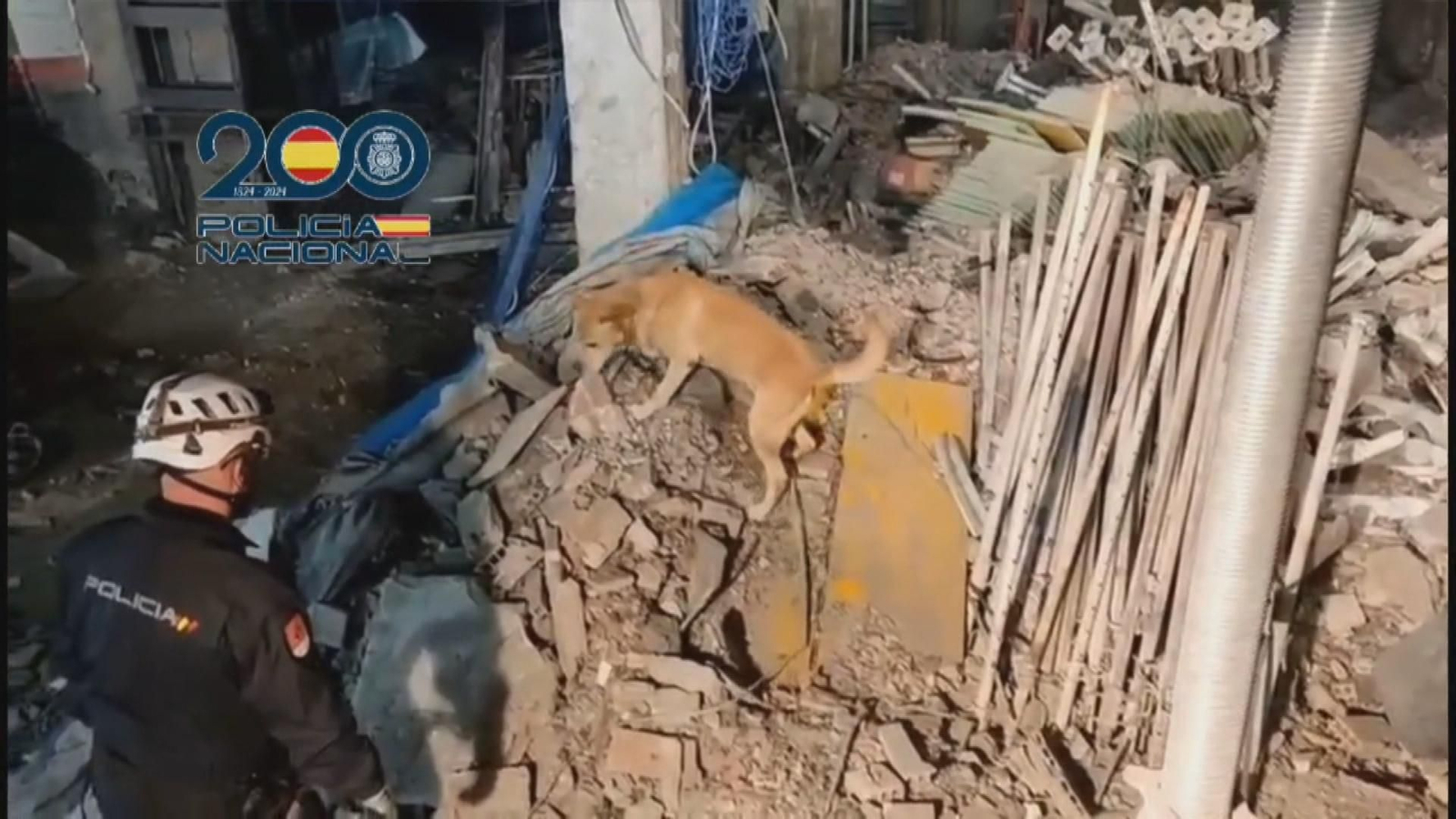 PERROS RESCATE ESCOMBROS
