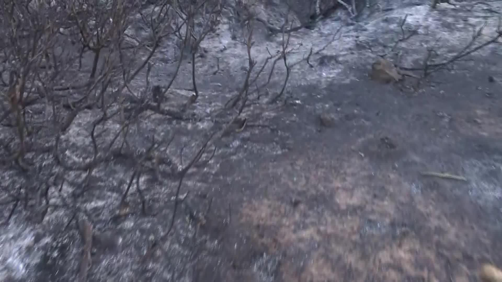 J020-CADIZ SITUACION TRAS INCENDIO TARIFA