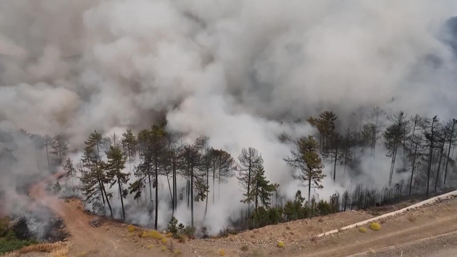 L054-TURQUIA INCENDIO FORESTAL