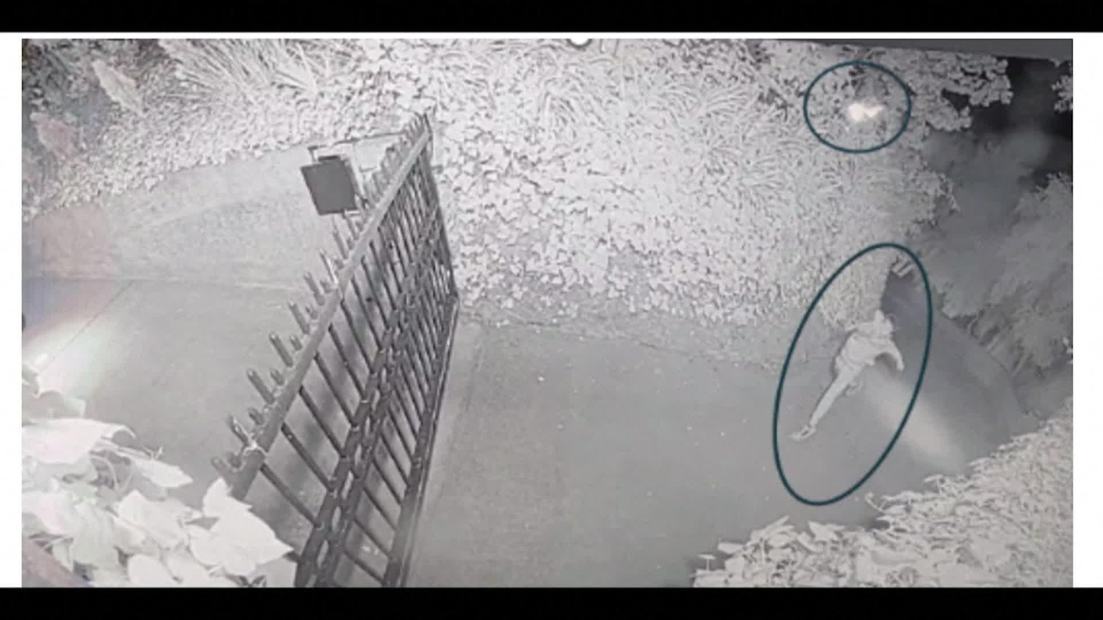 va molotov casa sam altman