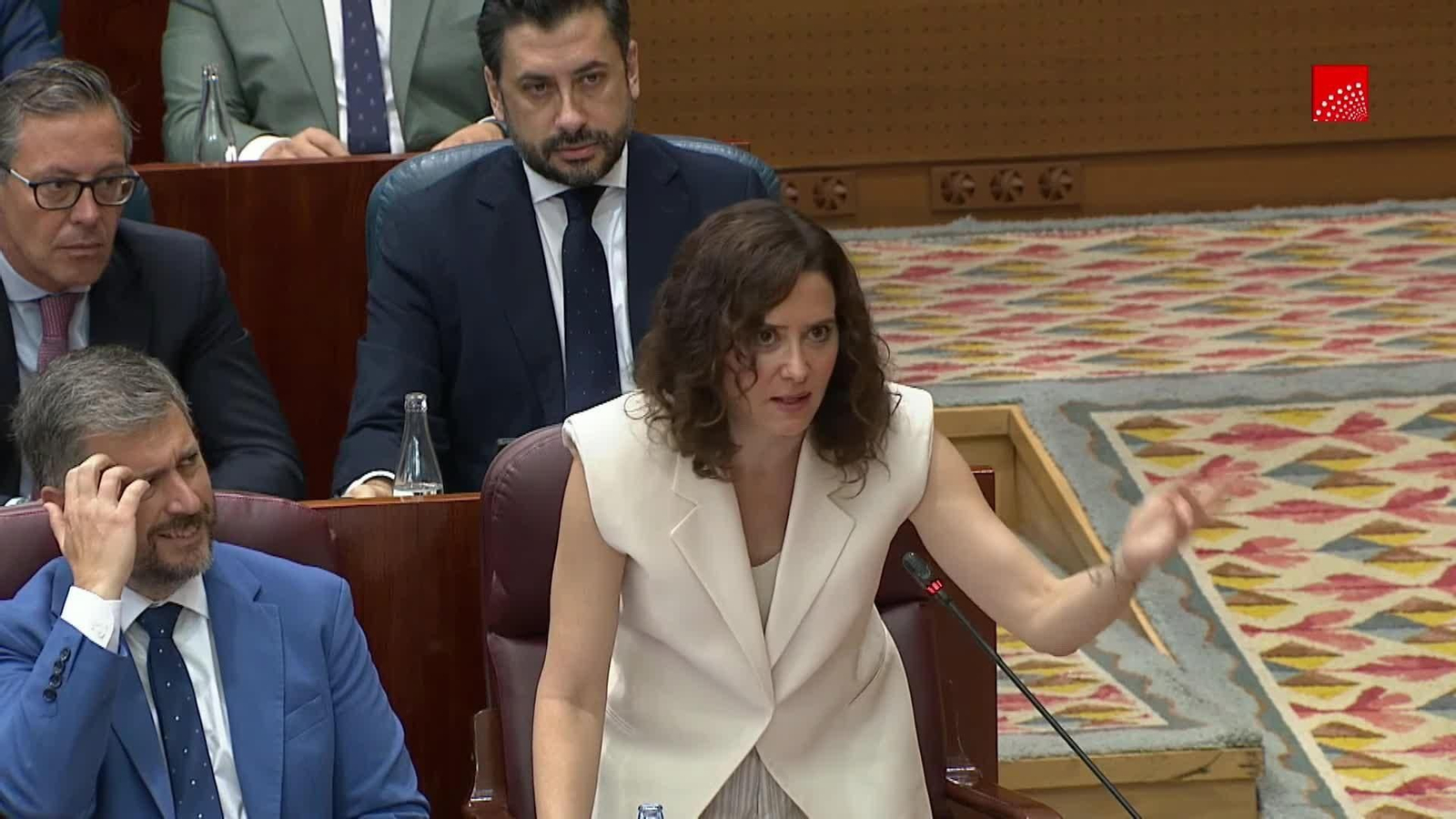 va ayuso en la asamblea