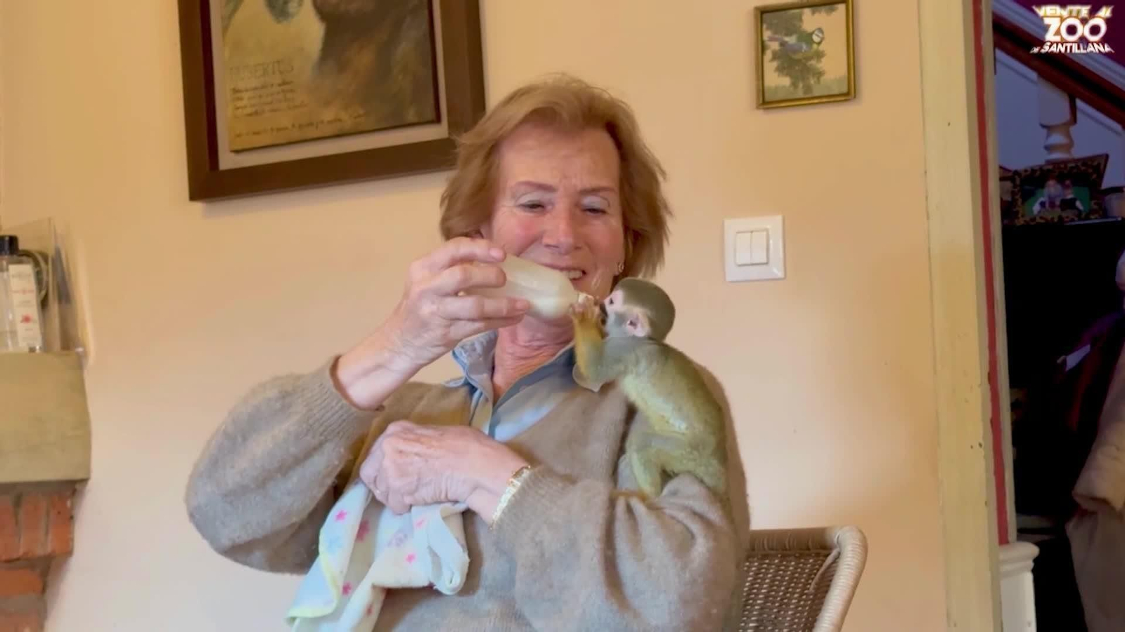 web monito zoo de santillana