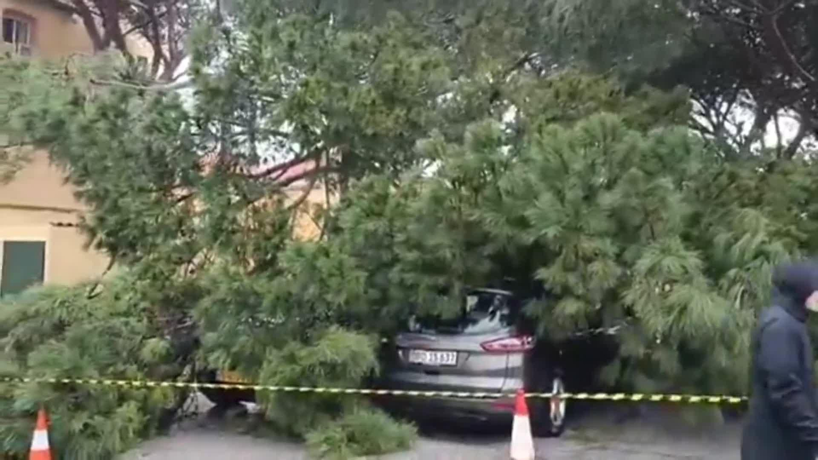 web temporal de viento