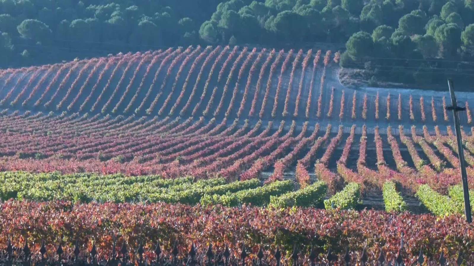 L001-EDI-VALLADOLID ENOTURISMO