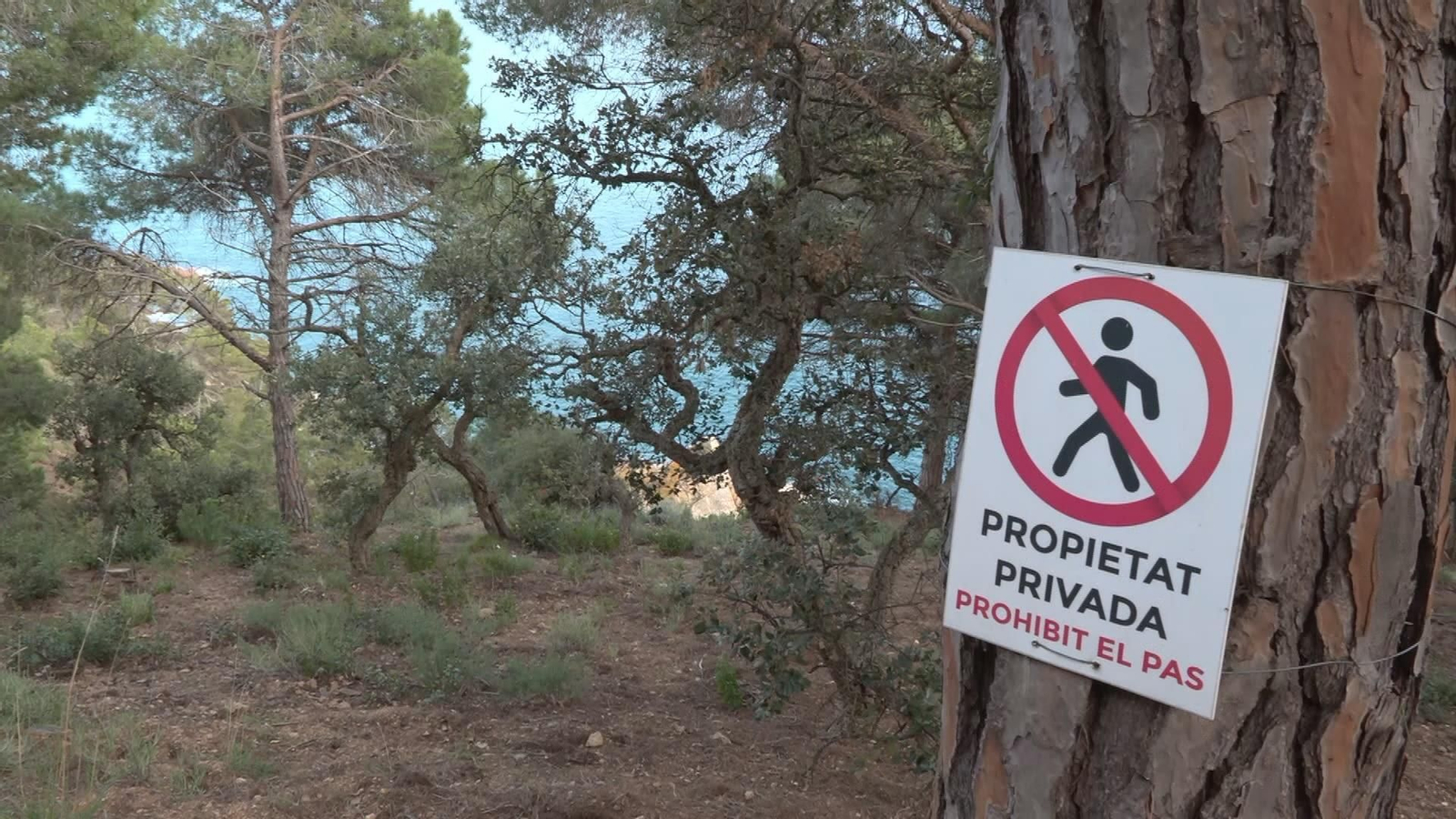 L002 EDI GIRONA REABRE SENDA LLORET TRAS 17 AÑOS frame 913