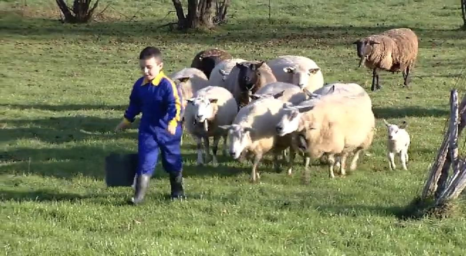 El niño que sólo piensa en ser ganadero y, con 6 años, ya 'trabaja' en su granja El niño que sólo piensa en ser ganadero y, con 6 años, ya 'trabaja' en su granja