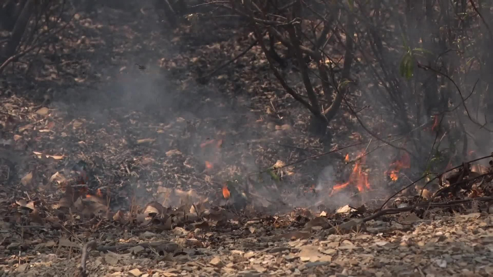 va incendio en niebla si esta ok