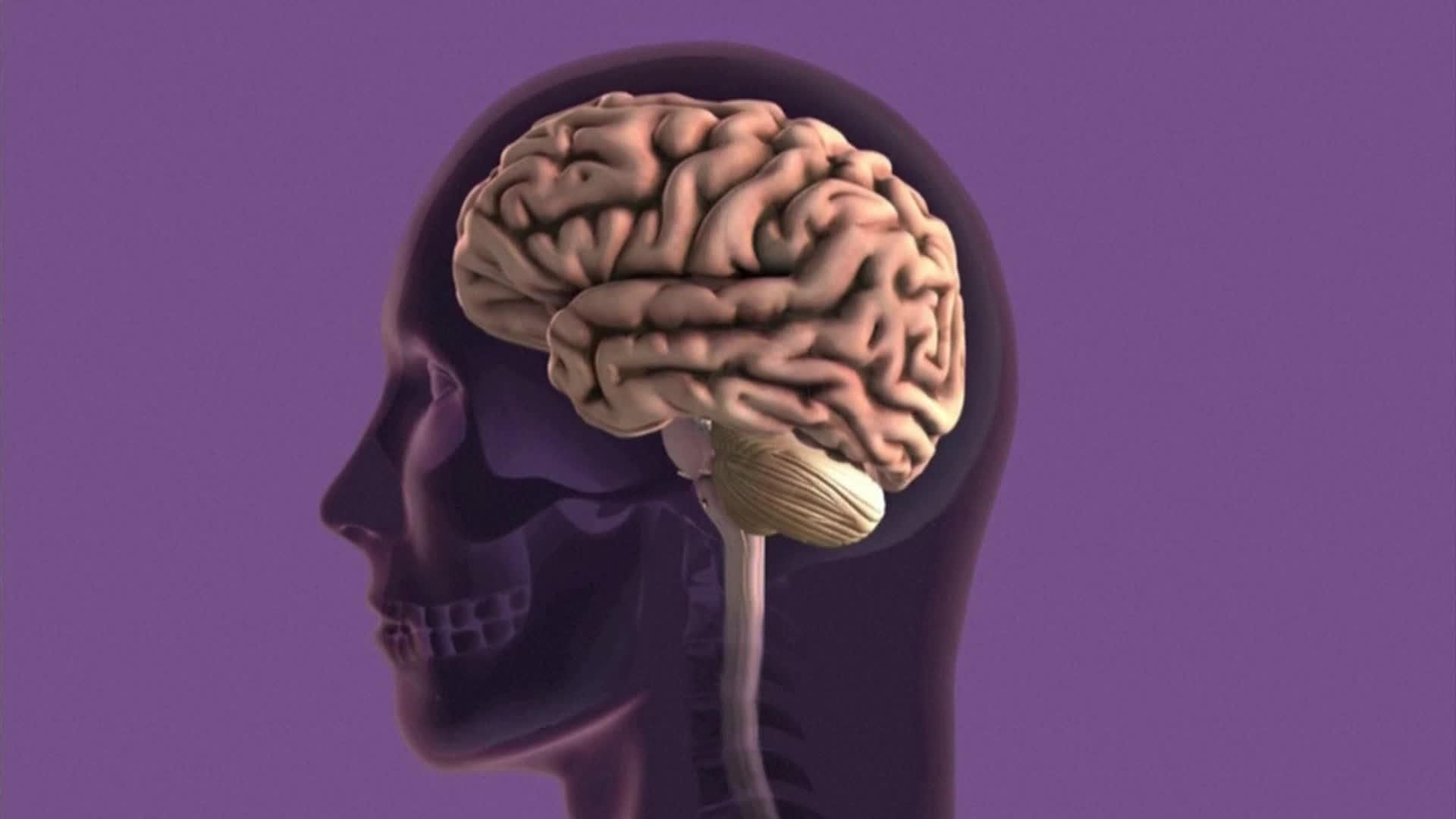 J068-EDI VARIOS ESTUDIO HARVARD LITIO CONTRA ALZHEIMER