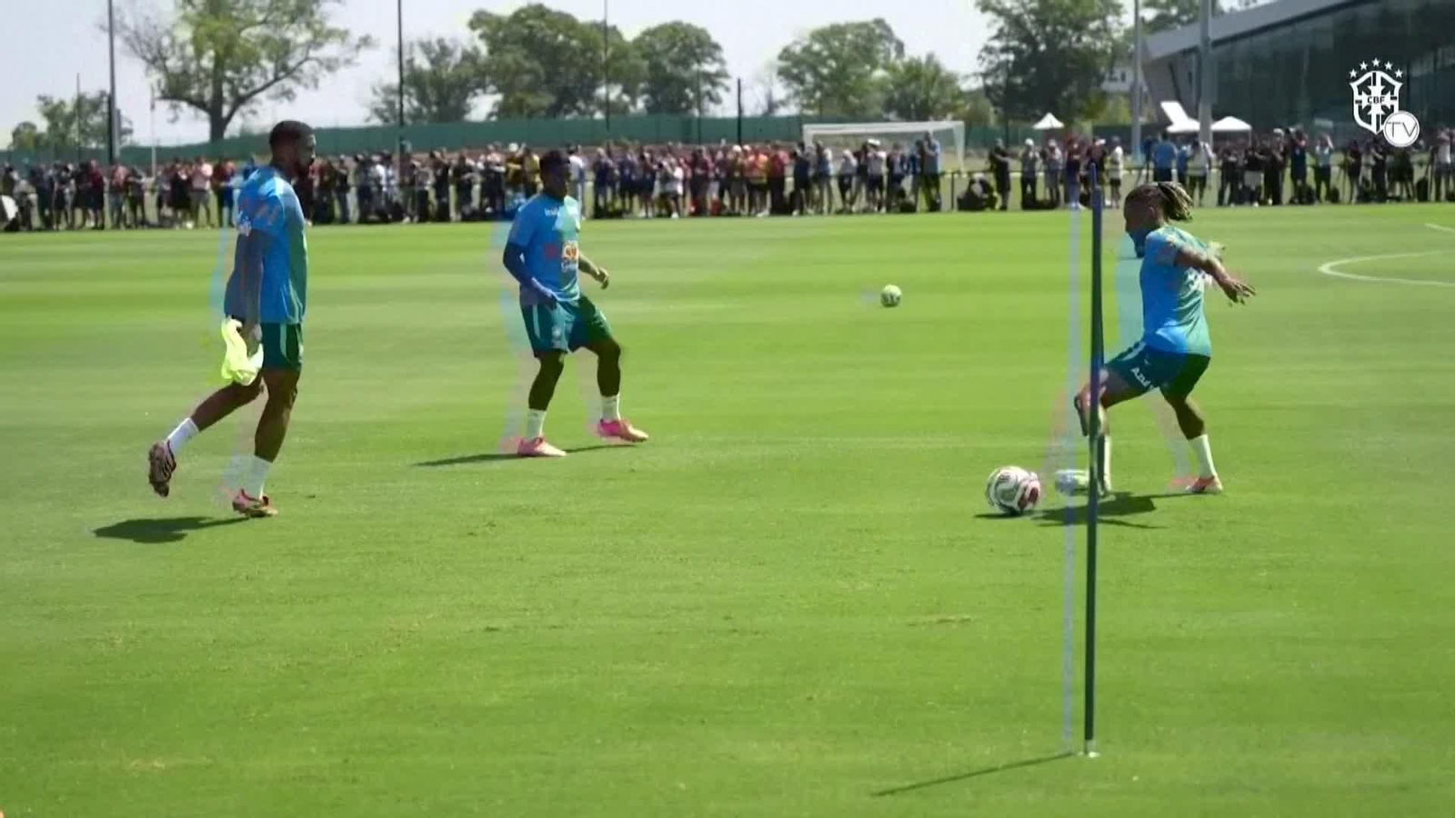 va entrenamiento brasil