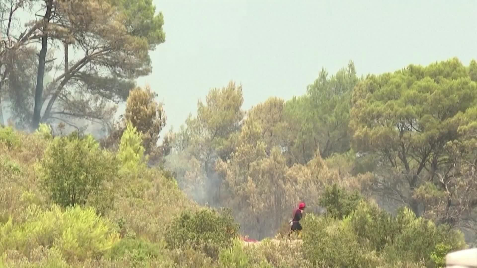 X051-FRANCIA INCENDIO FORESTAL SUR DEL PAIS