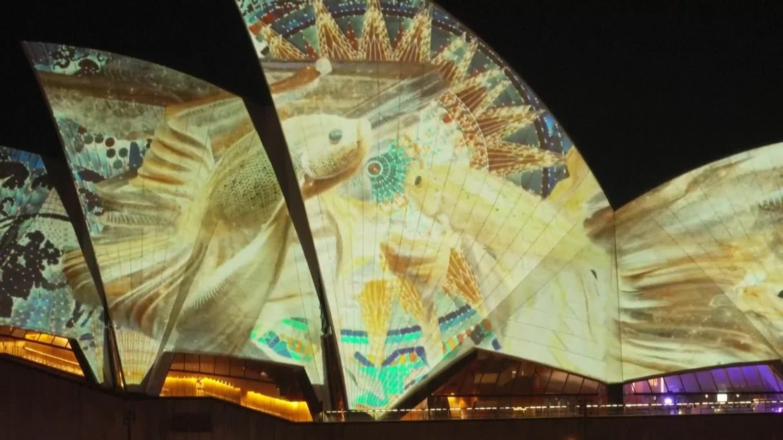 va luces sidney
