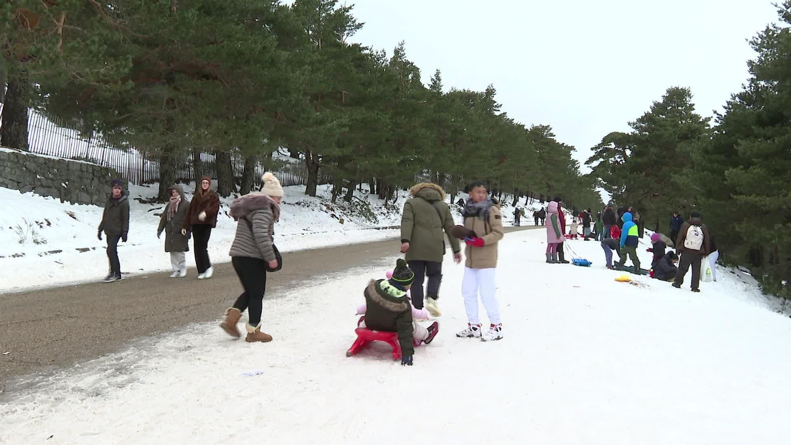 V067-MADRID NAVACERRADA NIEVE