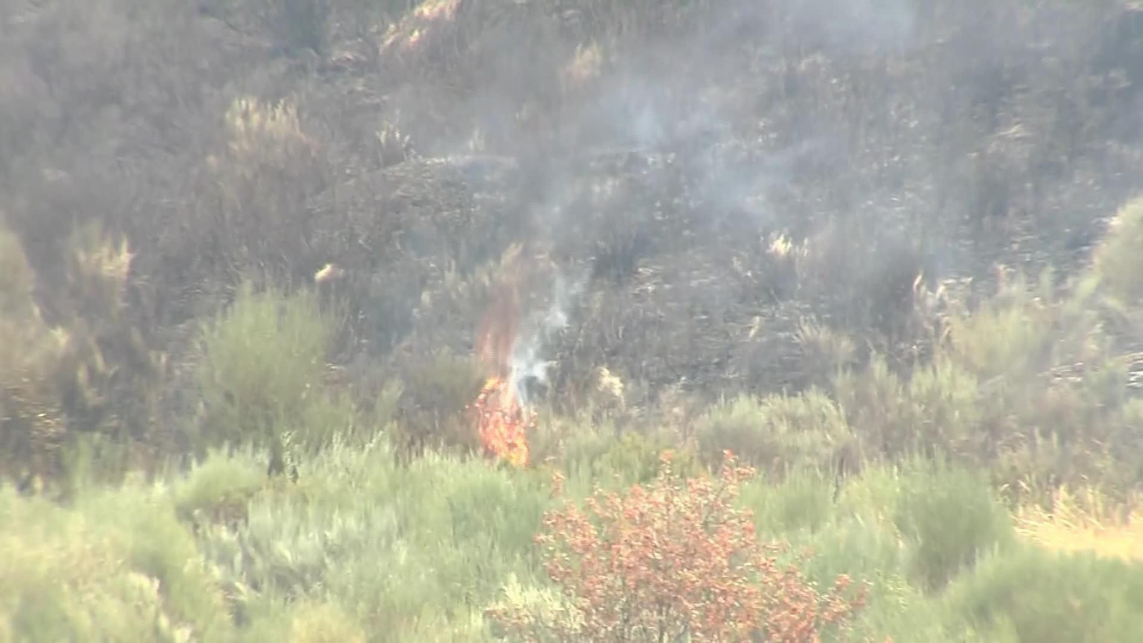 L068-ZAMORA INCENDIO SANABRIA TARDE