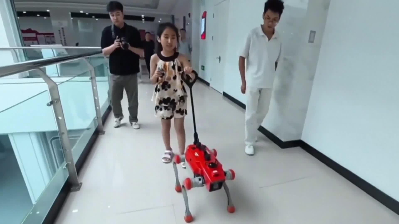 va china perros guia robots
