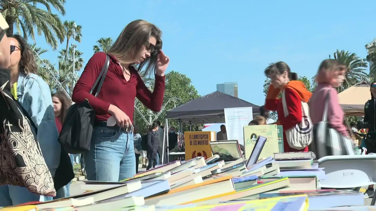 J095-BARCELONA ALERGIAS PLATANEROS SANT JORDI