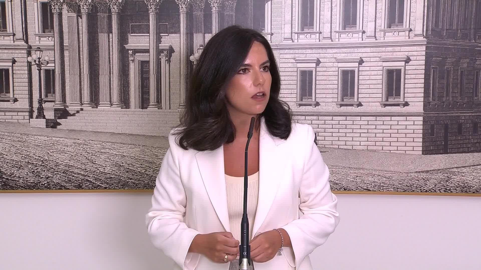 va pepa millan vox