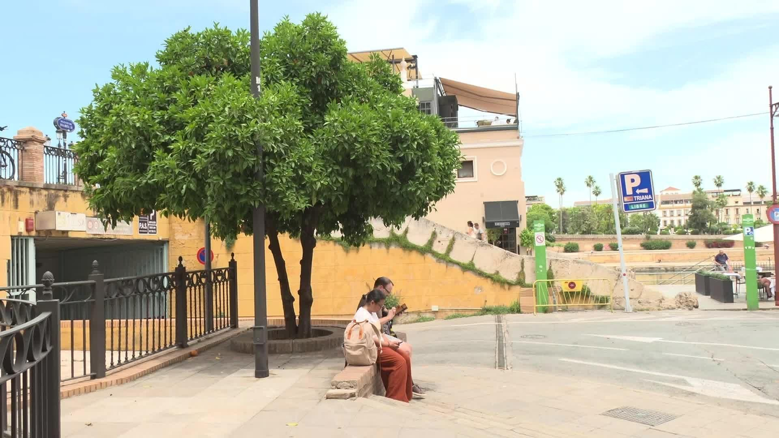 L056-SEVILLA LOS NARANJOS BAJAN LA TEMPERATURA