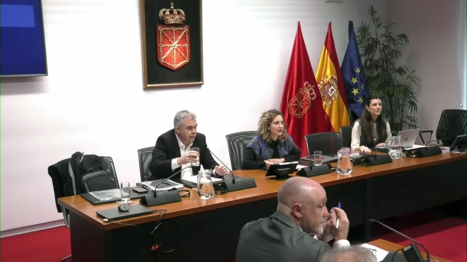 va cerdan en comision navarra