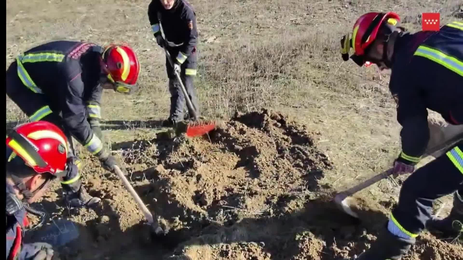 L078-MADRID RESCATE PERRO VALDEMORO