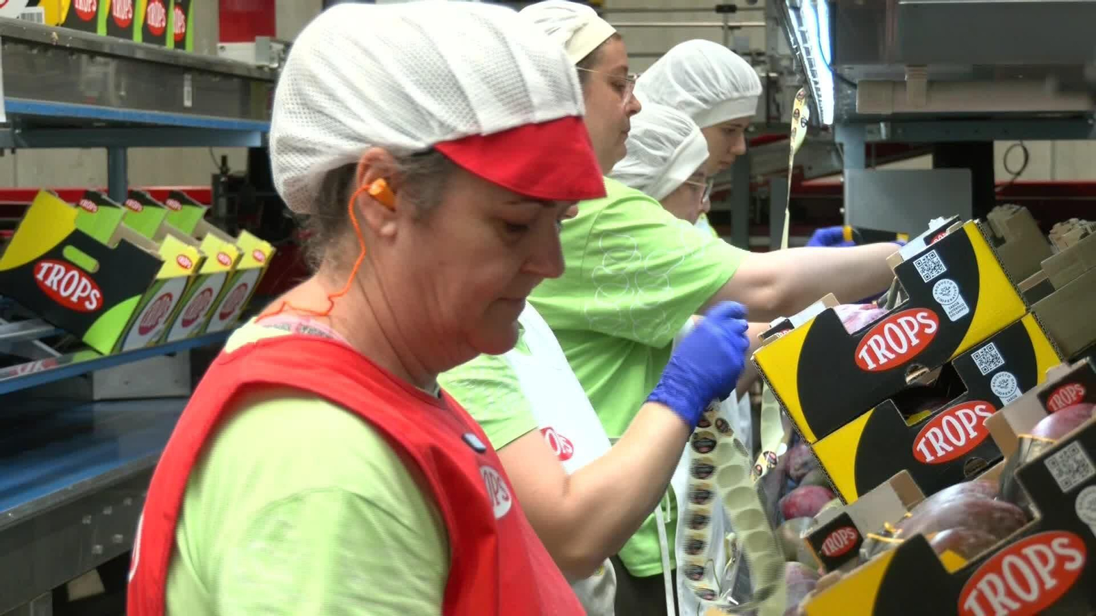 M048-MALAGA SE BUSCAN ENVASADORES