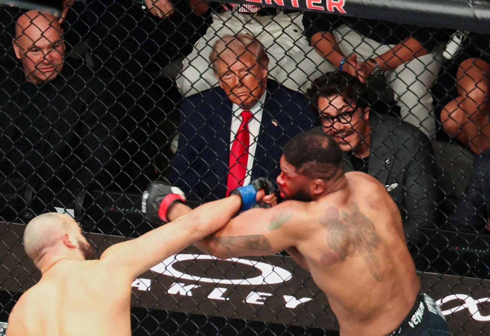 trump ufc2