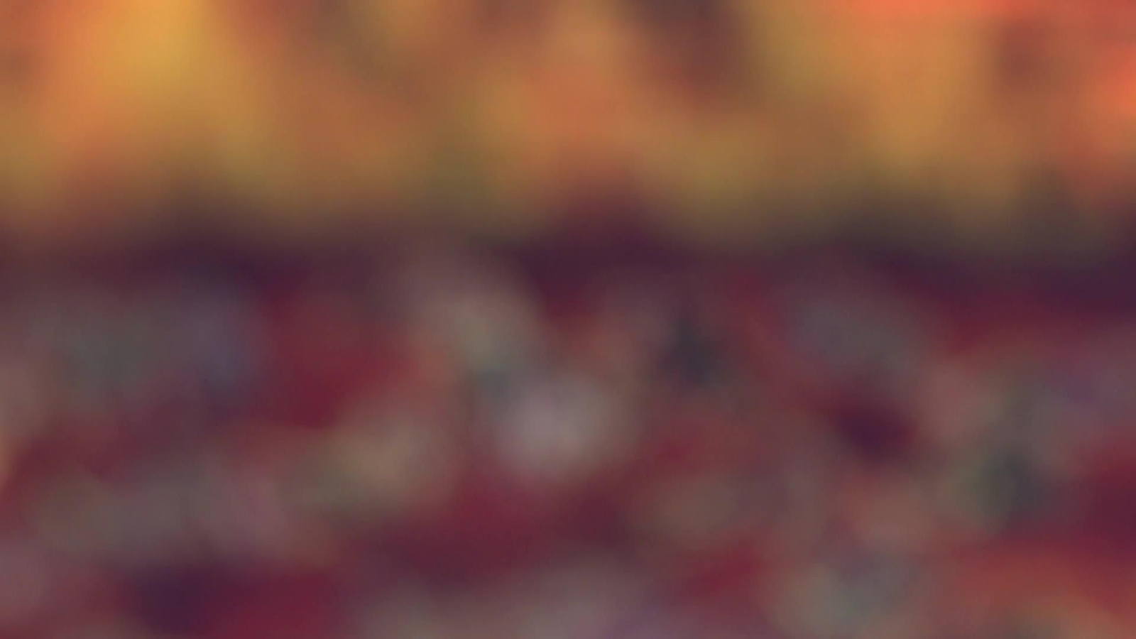 web cuadro interactivo **SIN HACER**SIN HACER**SIN HACER**